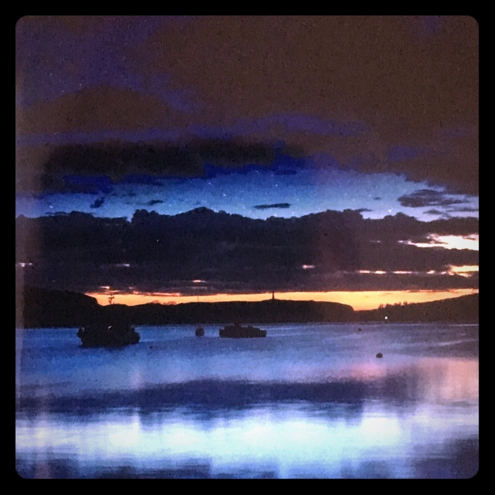 🌵🌙 Offers Welcome!