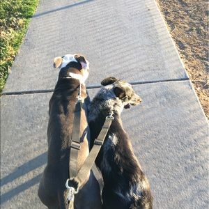 Meet your Posher, Celeste