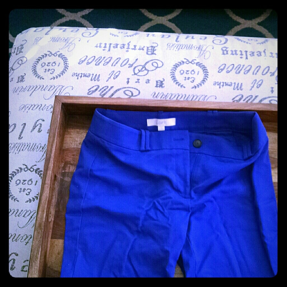 LAST CHANCE CLOSET: Ann Taylor Loft "Julie" style
