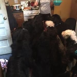 Meet your Posher, Kelly