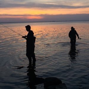 Meet your Posher, Joe