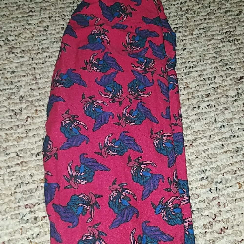 Lularoe os pink with beta fish