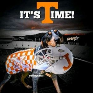 Meet your Posher, Bobbie