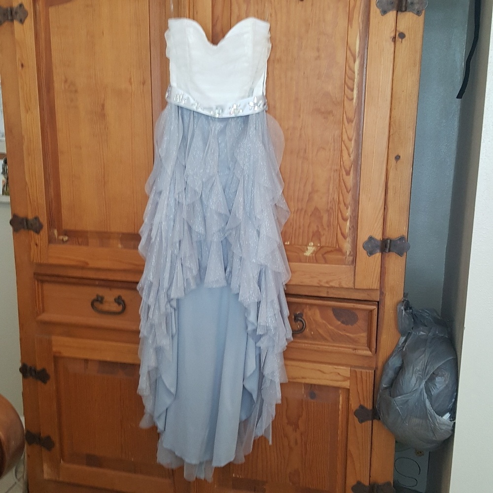 Homecoming/prom dress