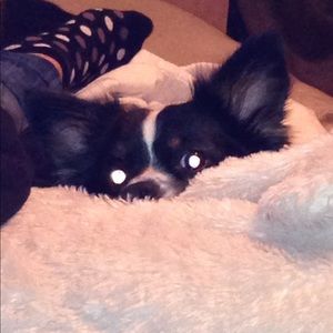 Meet your Posher, Shannon