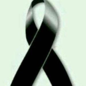 Meet your Posher, Claudia