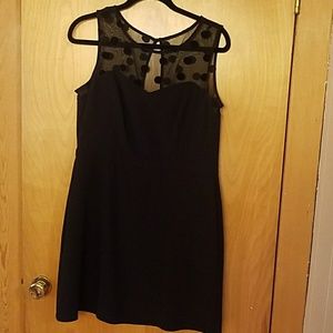 Lauren Conrad Cocktail Dress