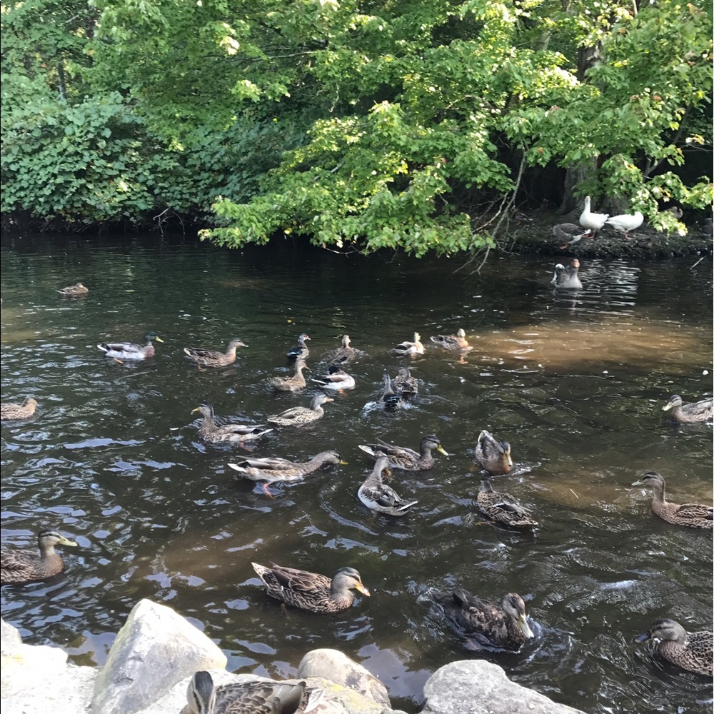 Meet your Posher, Dayna