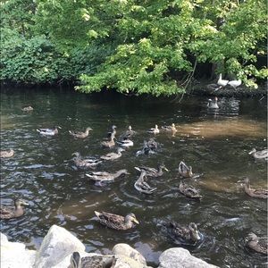 Meet your Posher, Dayna