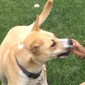 Meet your Posher, June