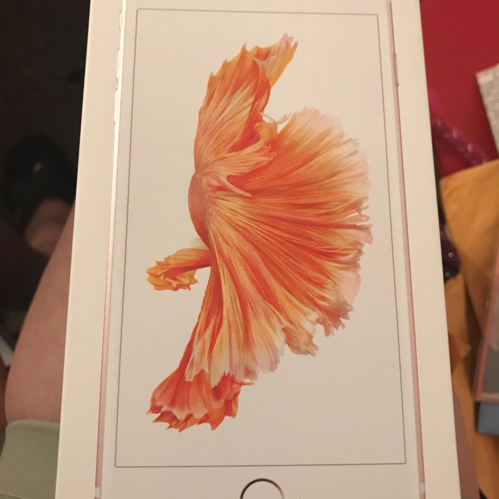 iPhone  6s plus box