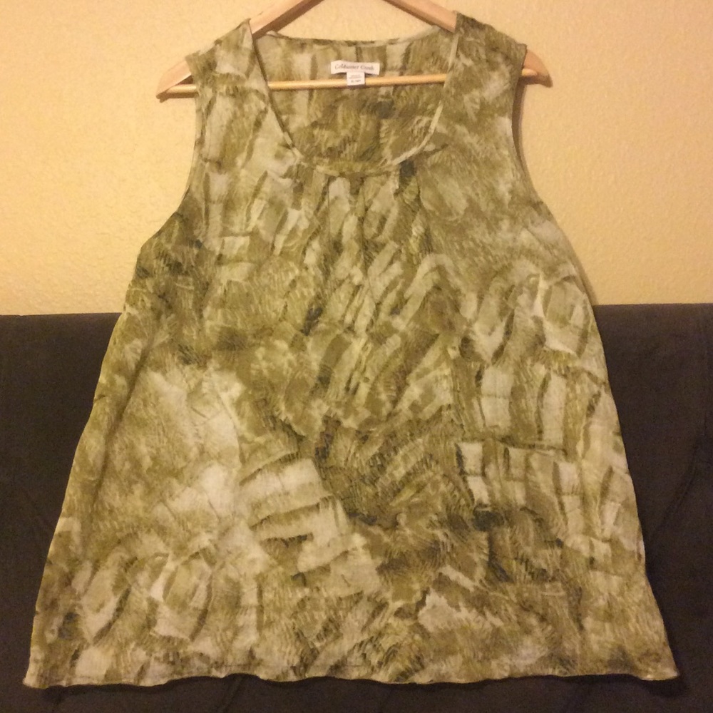 Sleeveless gauzy top. Closet closing clearance.