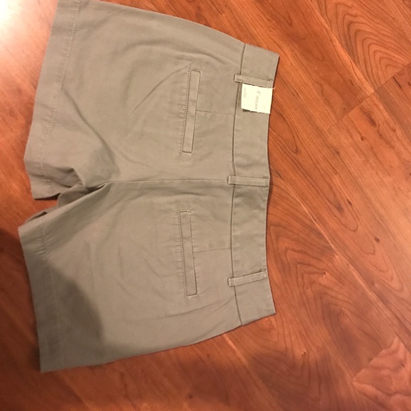 Ann Taylor loft shorts - new with tags - Picture 2 of 3