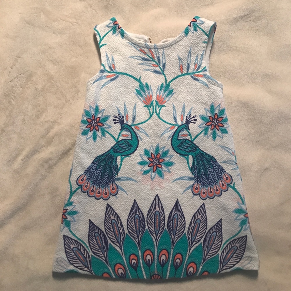 Toddler girls dress