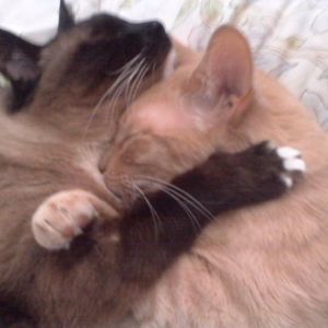 Meet your Posher, Jill