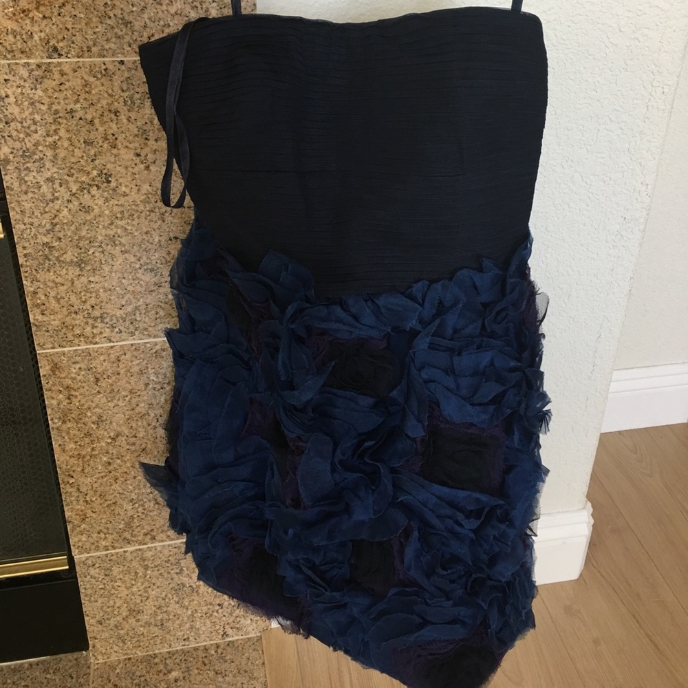Size 2 bcbg maxiazria dress