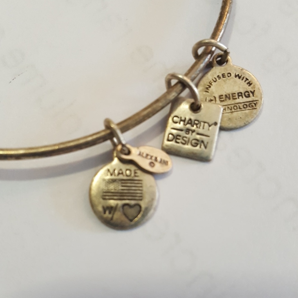 Alex and Ani positivity bangle - Picture 3 of 4