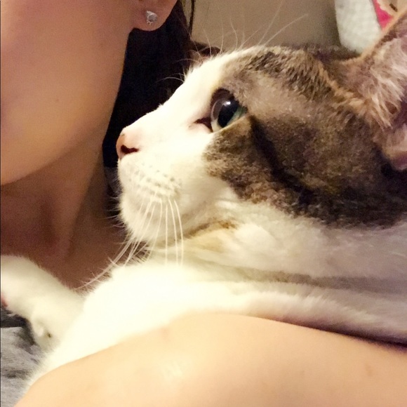 Meet your Posher, Vivi - Picture 7 of 8