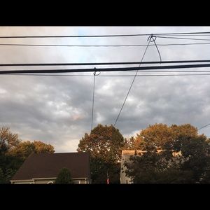 Meet your Posher, Pauline