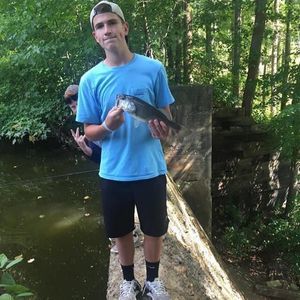 Meet your Posher, Harrison