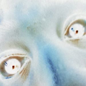 Meet your Posher, Dwayne