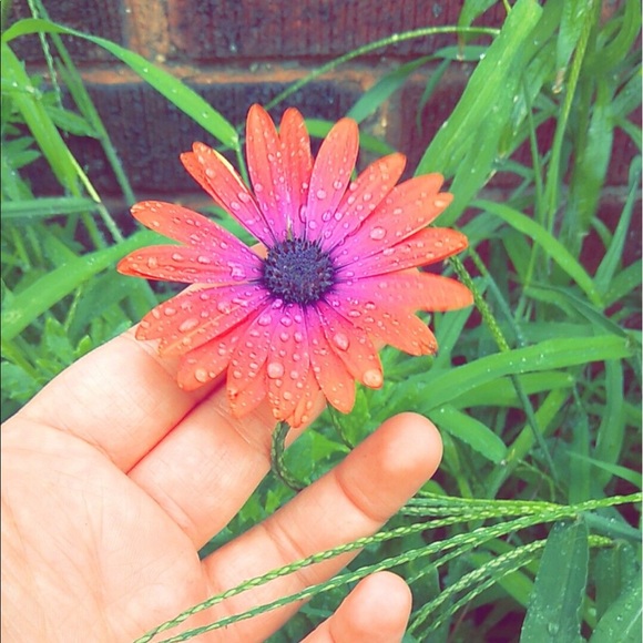 Meet your Posher, Julia - Picture 1 of 1