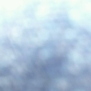 Meet your Posher, Gloria