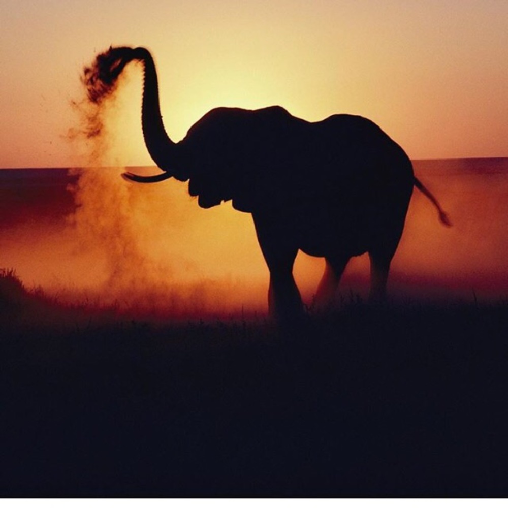 Meet your Posher, Deep