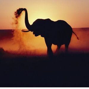 Meet your Posher, Deep