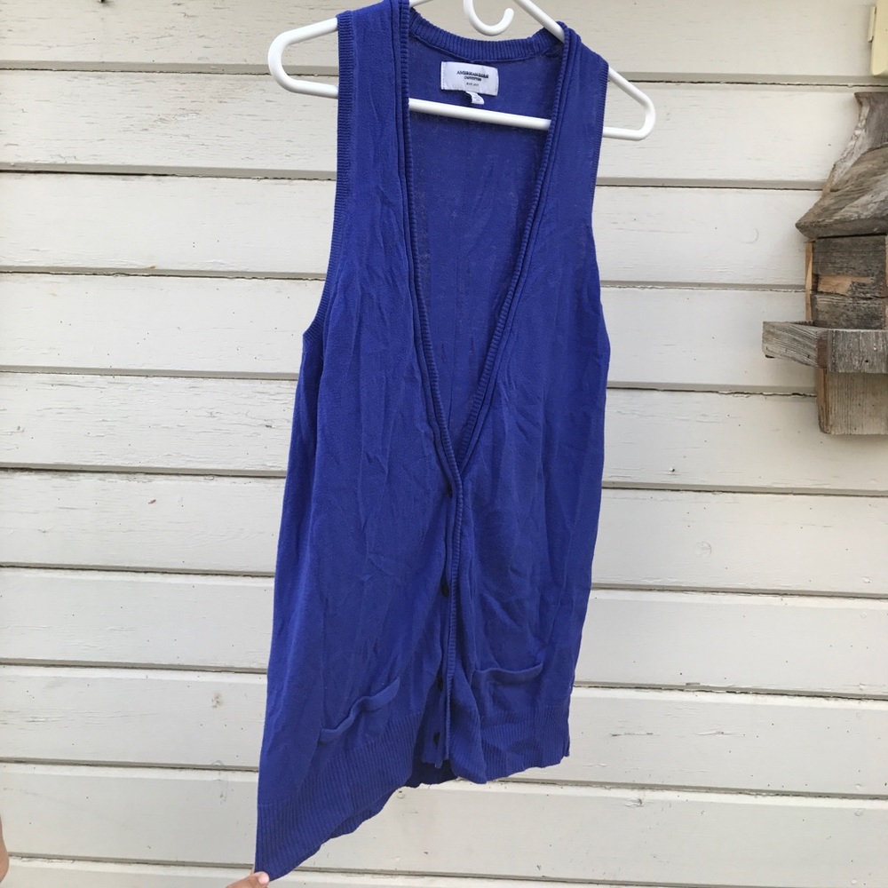 Sheer indigo vest