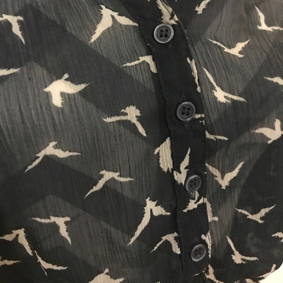 Sheer Bird Cinched Waist Blouse - Picture 5 of 5