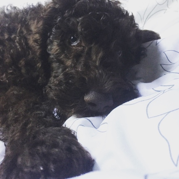 Just a share! - Picture 2 of 3