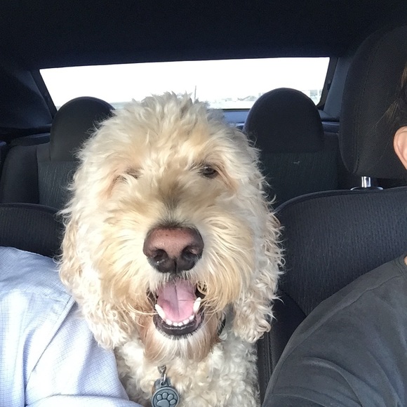 Just a share! - Picture 3 of 3