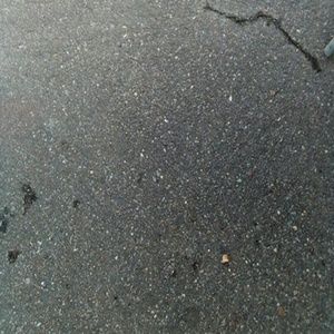 Meet your Posher, Timothy