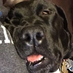 Meet your Posher, Allison