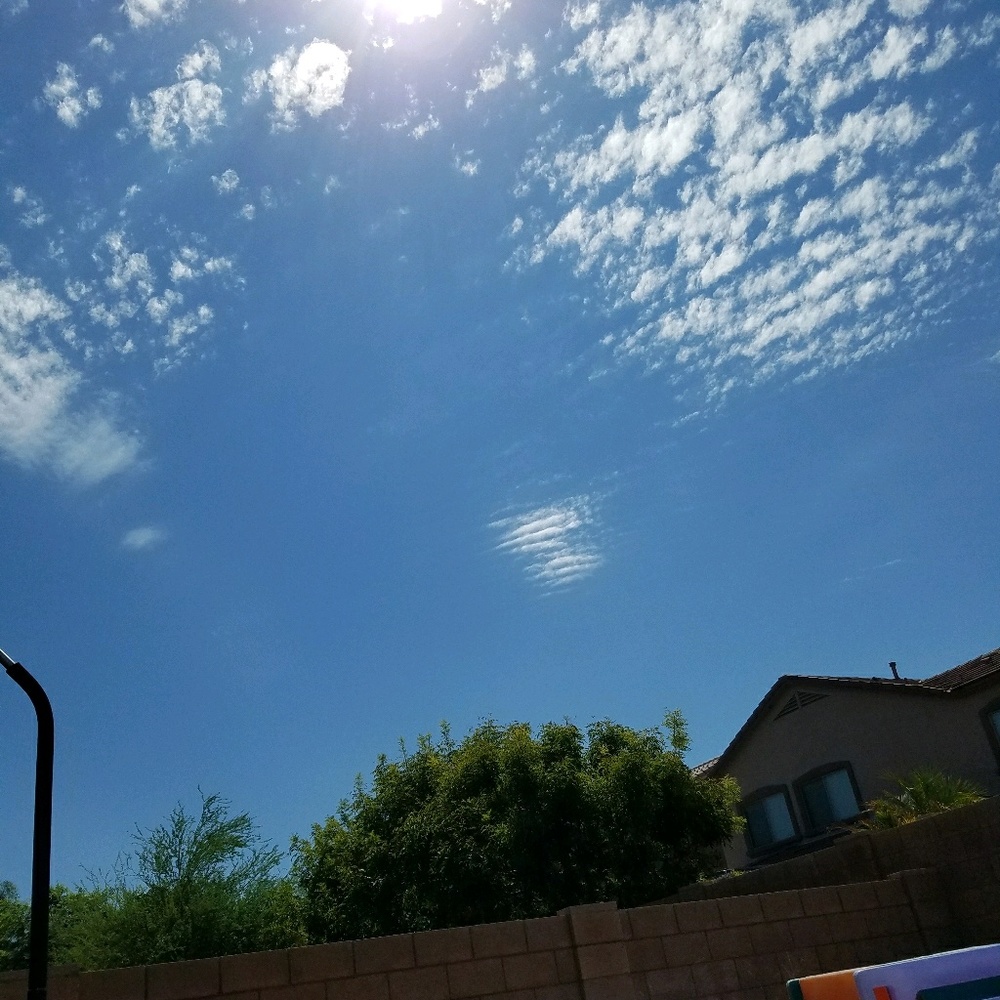 Meet your Posher, Vicki