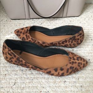 Leopard Gap Shoes Size 6