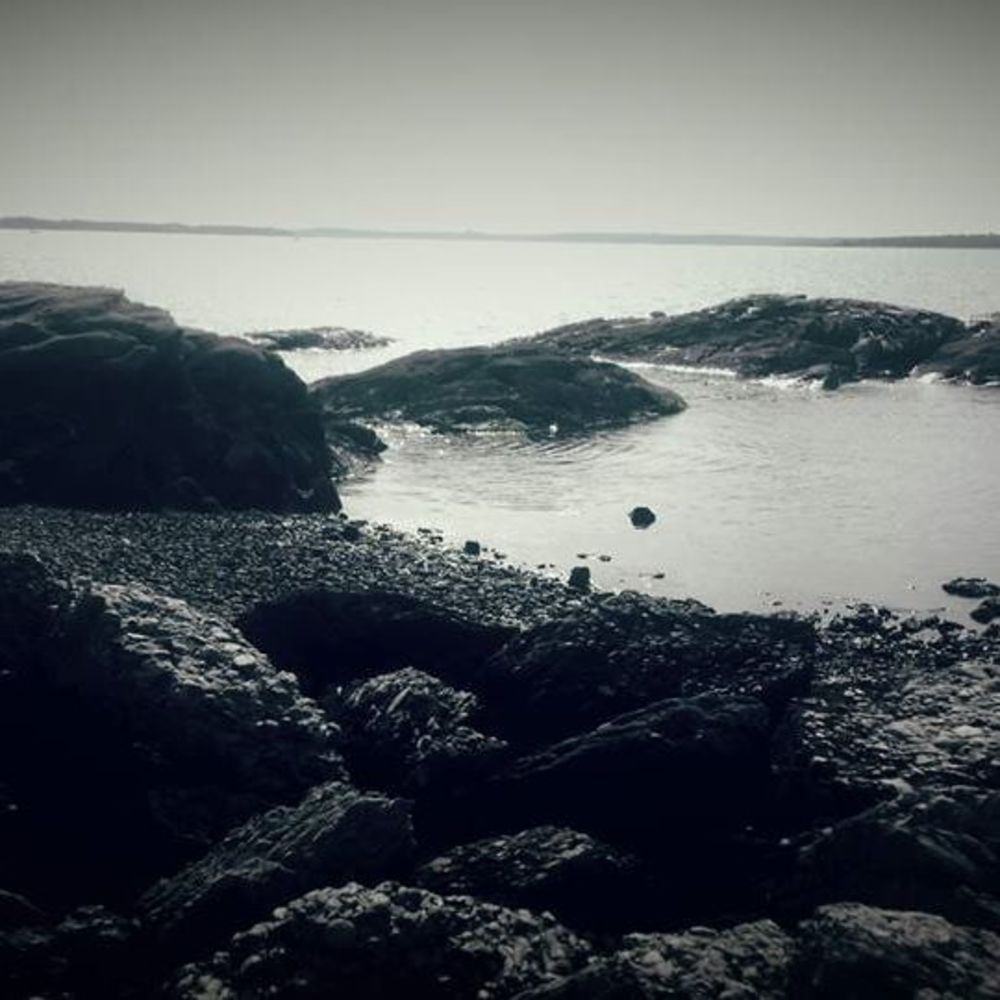 Meet your Posher, Bibi