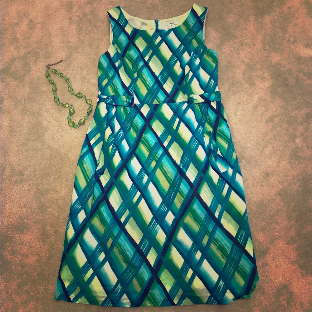 Cute Cato Dress with POCKETS