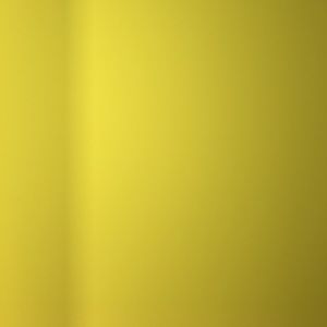 Meet your Posher, Luz