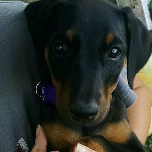 Meet your Posher, Jen