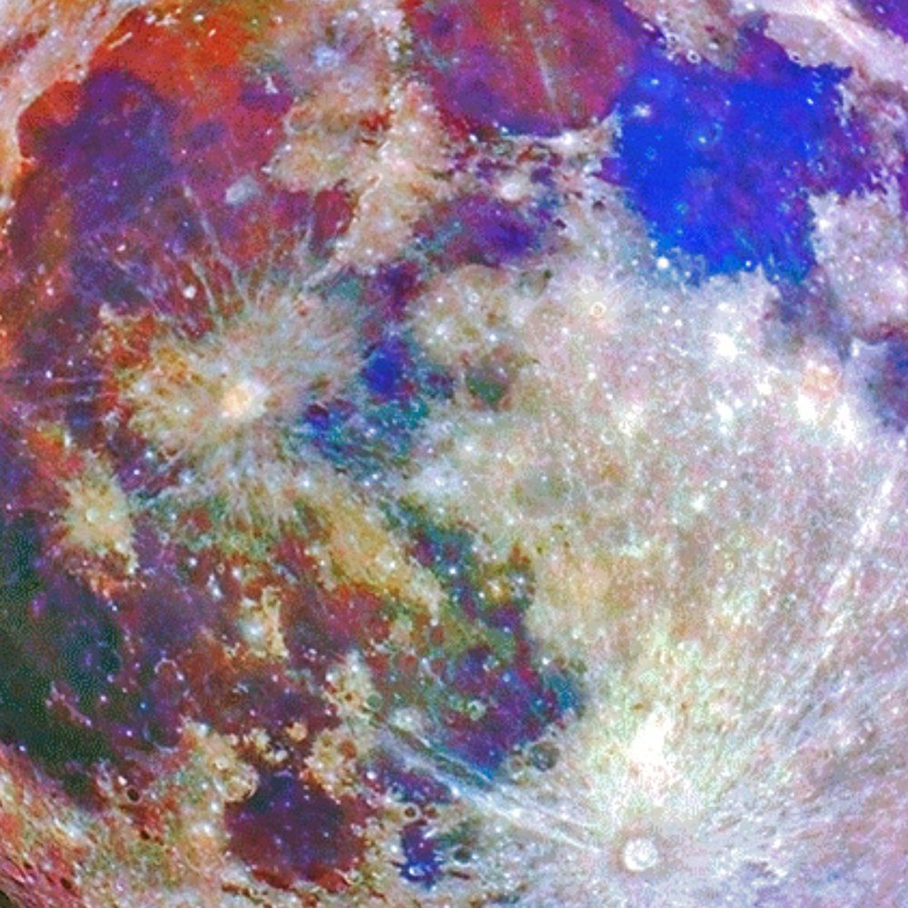 Meet your Posher, Alisha