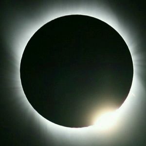 Meet your Posher, Bertha