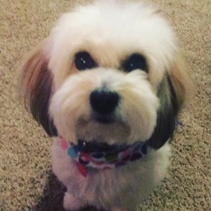 Meet your Posher, Tim