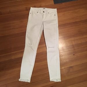 Brand new PAIGE jeans