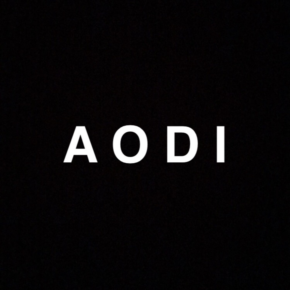 Meet your Posher, Aodi