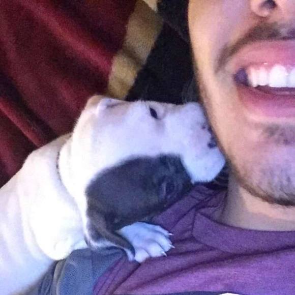 Meet your Posher, Rafael - Picture 1 of 1