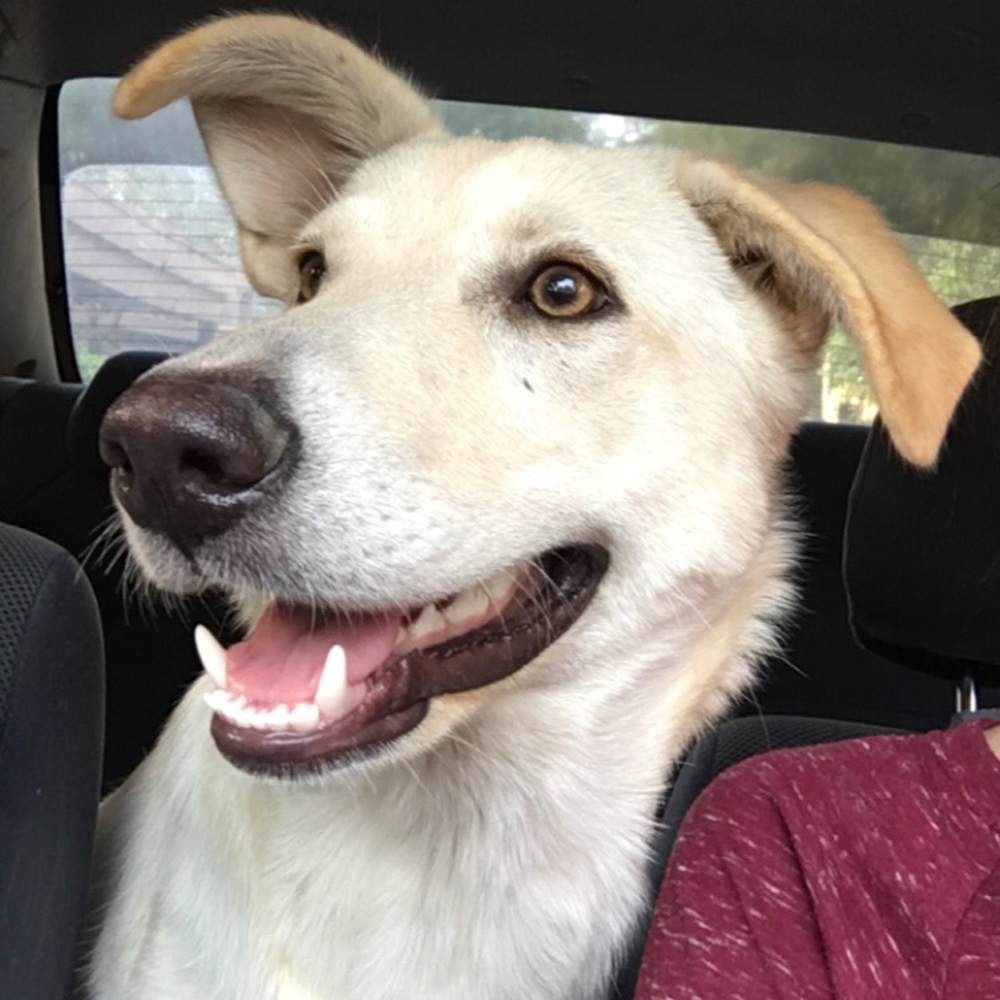 Meet your Posher, Breana