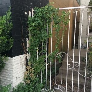 Meet your Posher, Sadie