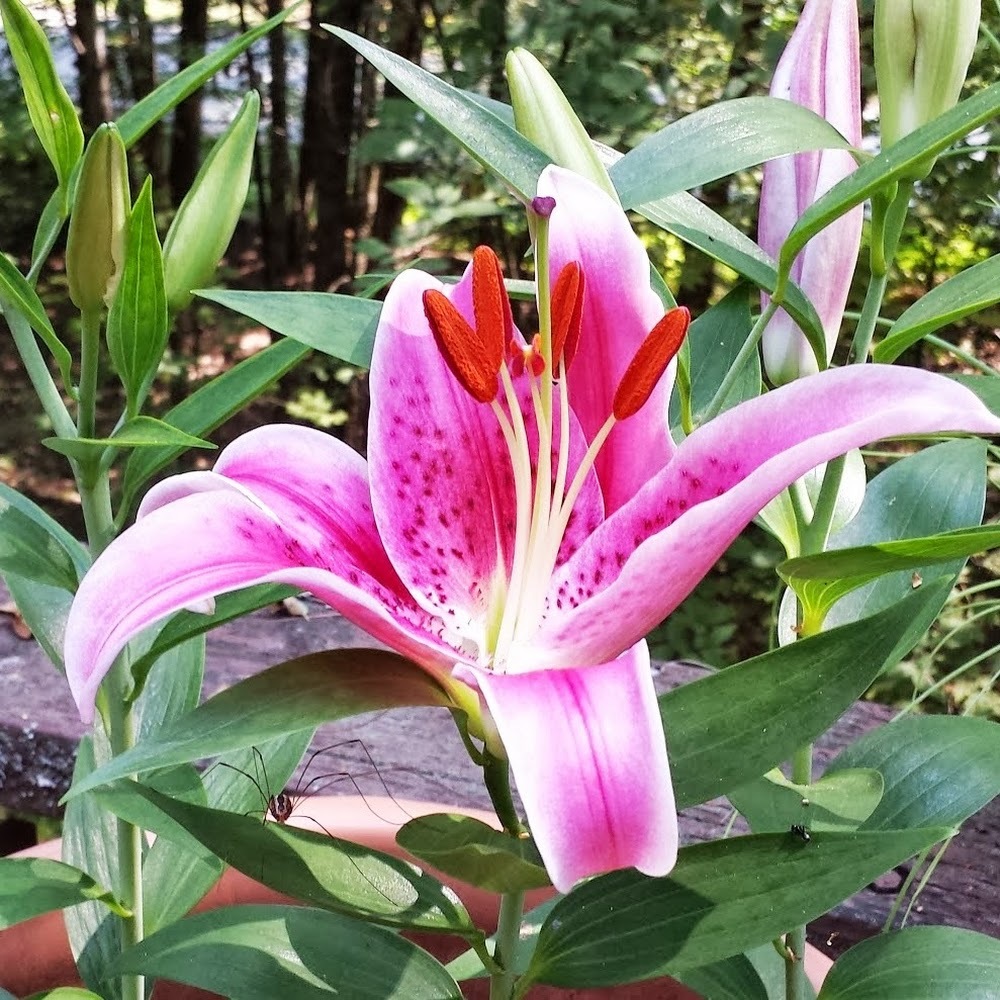 Meet your Posher, Yin